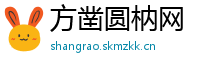 方凿圆枘网